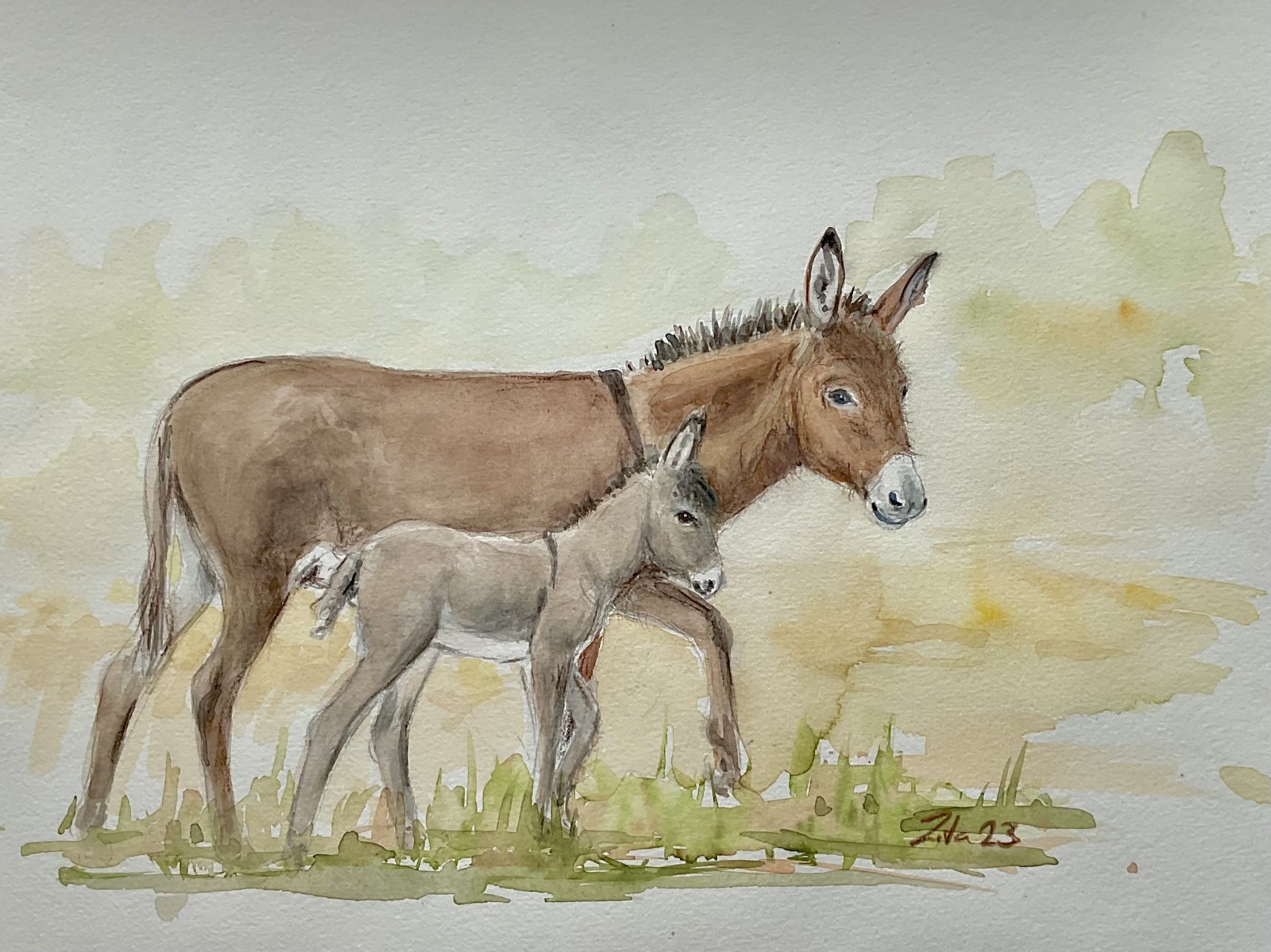 Wildtiere