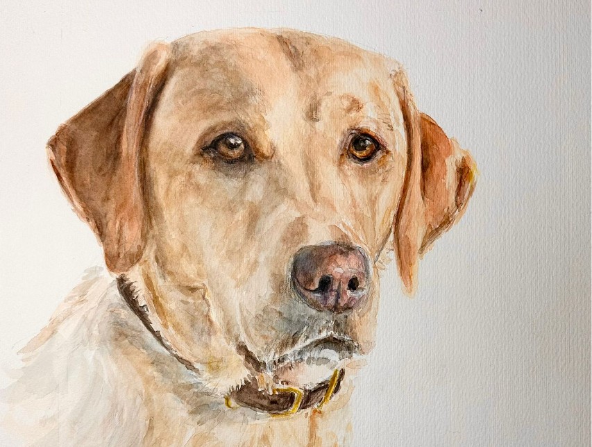 Hunde