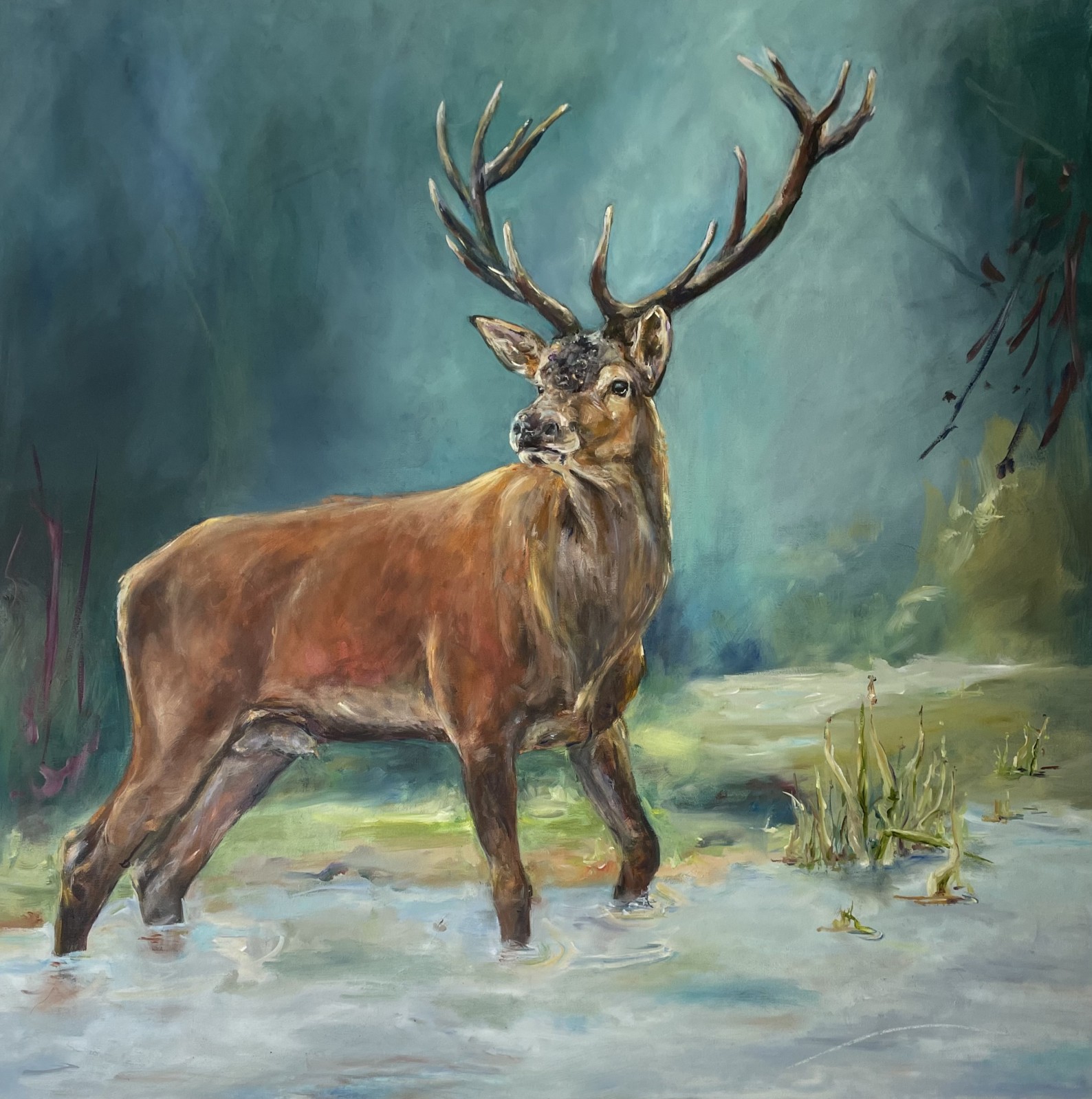 Wildtiere